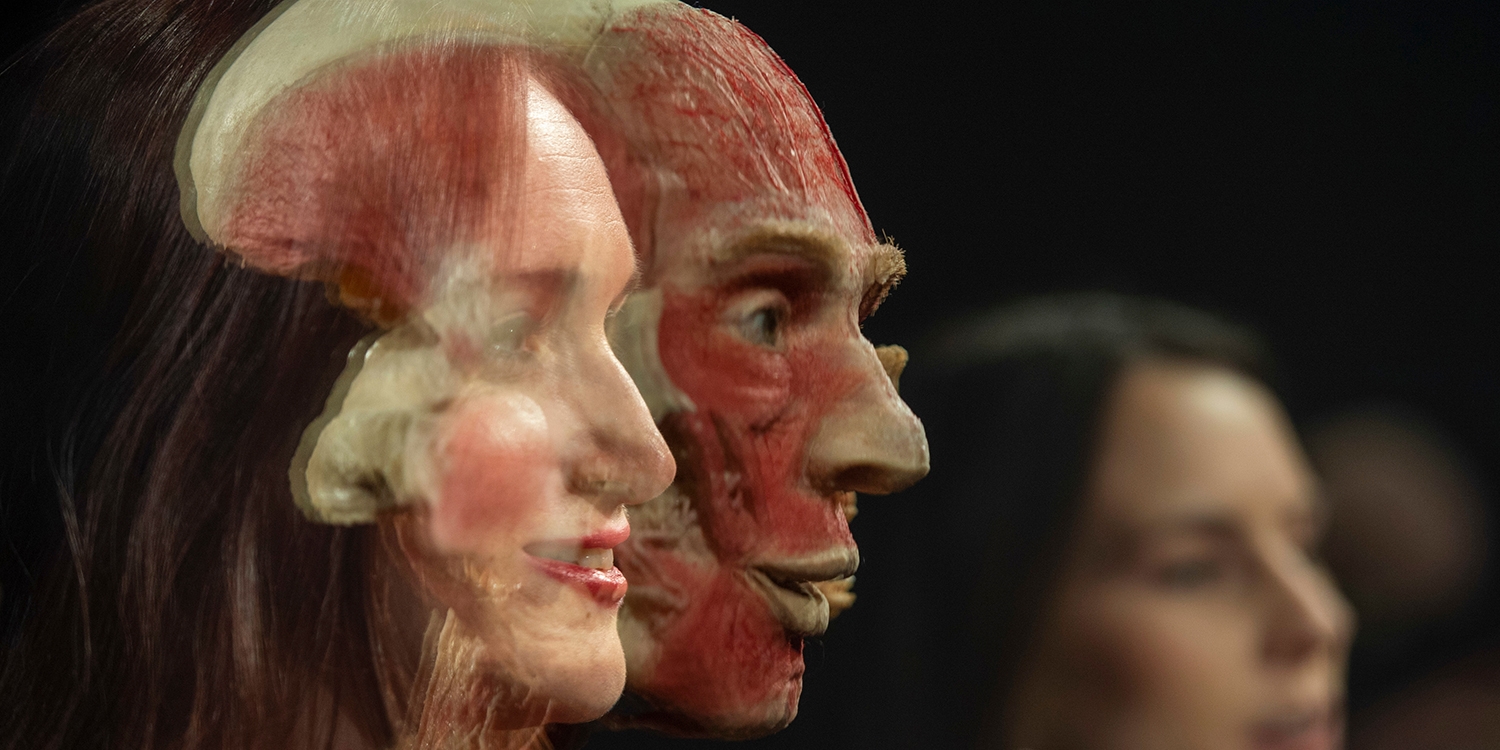 London: BODY WORLDS museum entry, save 29% London: BODY WORLDS museum entry, save 29%