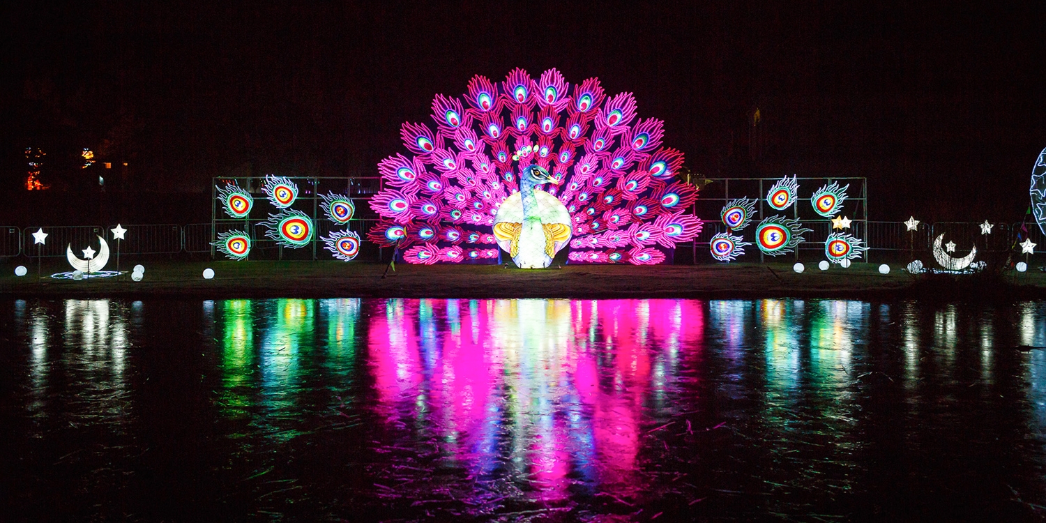 Entry to Lightopia at Chiswick House Gardens Entry to Lightopia at Chiswick House Gardens