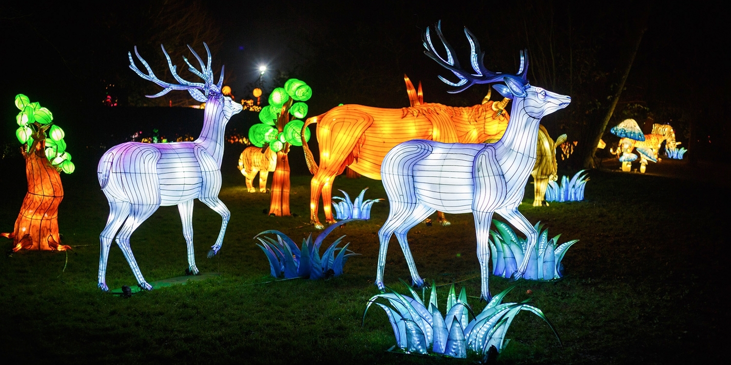 Entry to Lightopia at Chiswick House Gardens Entry to Lightopia at Chiswick House Gardens
