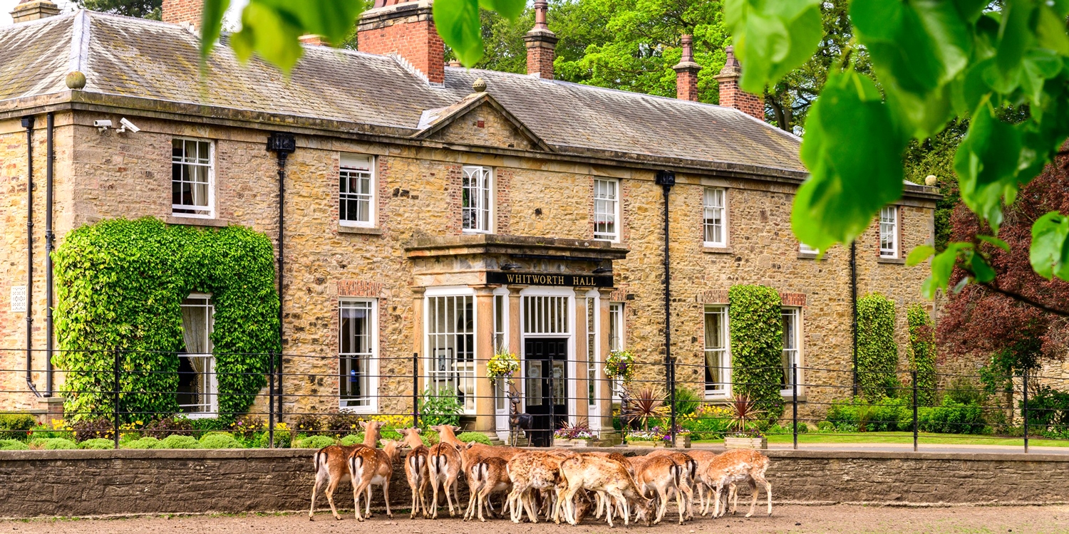 Afternoon tea & garden entry for 2 at Whitworth Hall Afternoon tea & garden entry for 2 at Whitworth Hall