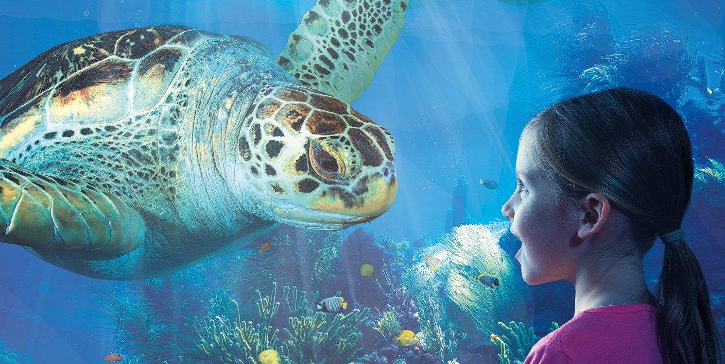 A Gardaland SeA Life Aquarium arriva il Carnevale