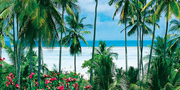 ab 1446 € -- 15 Tage All Inclusive im 5*-Hotel auf Kuba