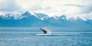 $549 & up -- 7-Night Alaska Cruise on Celebrity