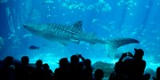 $74 -- Atlanta: 9-Day Pass to Top Attractions, Reg. $127