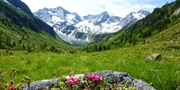 144-164 € -- 4 Tage im Zillertal mit Halbpension, -38%