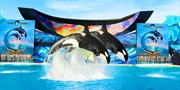 $88 -- SeaWorld San Diego: 7-Day Pass, Save up to 85%