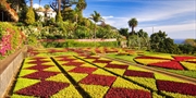 £699 -- 12-Nt P&O Canaries Cruise w/Celebrity Chef on Board