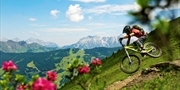 £143 & up -- Top Deals to Saalbach Hinterglemm, Austria