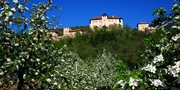 ab 92 € -- Die besten Deals für das Trentino