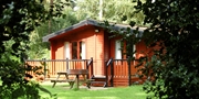 £199 &amp; up -- Last Min: Forest Lodge for up to 6, Save 50%