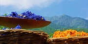 ab 345 € -- Wanderwoche in Gossensass/Südtirol inkl. HP
