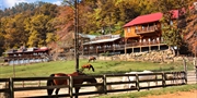 $419 -- Smoky Mountains 3-Night Ranch Escape, Reg. $840