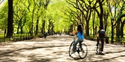 $10 -- Bike Central Park thru Summer w/Ice Cream, Reg. $21