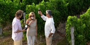 £20 -- Holmfirth Vineyard Tour for 2 inc Brunch, Reg £40