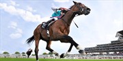 £89 -- Exclusive: Royal Ascot Day w/Afternoon Tea &amp; Extras