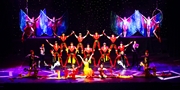 $15 -- ‘Cirque Shanghai’ Returns to Navy Pier, Half Off