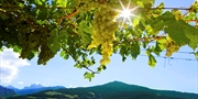 ab 202 € -- 3 Tage im 4*-Hotel mit Verkostung von 3 Weinen