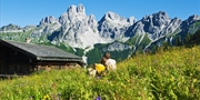 ab 259 € -- Almwanderwoche in Filzmoos mit Frühstück