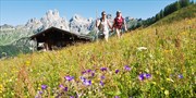 325 € -- Filzmoos: Wandertage mit HP & Wanderungen