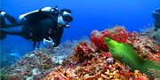 US$1371 -- Grand Cayman: Weeklong Dive Vacation, Save $650