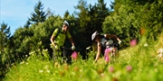 ab 840 € --  Naturns: 1 Woche Radurlaub mit Halbpension