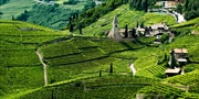 119 € -- Bozen: 4 Sommertage mit Halbpension &amp; Weinprobe