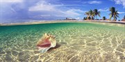 1416 € -- Karibik-Kreuzfahrt mit Flug & 2 Nächte Orlando