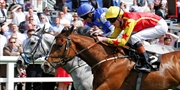 £25 -- Lingfield Park: Racing with Drinks &amp; Live Music for 2