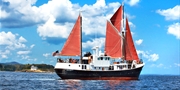 $874 -- Maine: Lighthouses and Wildlife Adventure, 50% Off