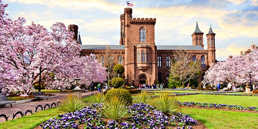 £67 -- Washington DC Hotel near Museums, 60% Off