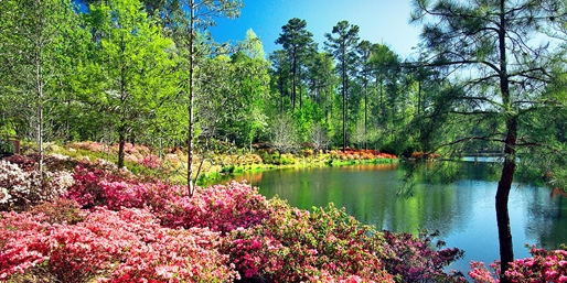 $99 -- Scenic Georgia Escape incl. $165 in Activities