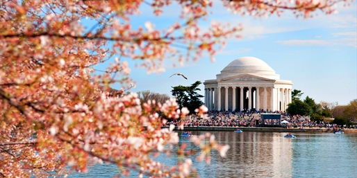 $99 -- Weekends at D.C. All-Suite Hotel w/Breakfast, 50% Off $99 -- Weekends at D.C. All-Suite Hotel w/Breakfast, 50% Off