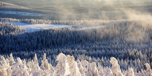 Winterstimmung in Norddeutschlands höchstem Mittelgebirge