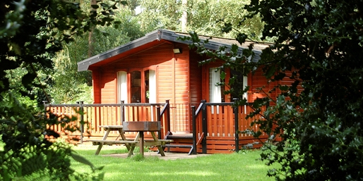 £180 & up -- Last Min: Forest Lodge for up to 6, Save 50%