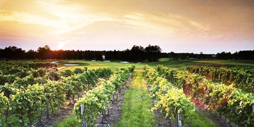 $99 -- Jersey Shore: Winery Getaway w/$40 Credit, 40% Off
