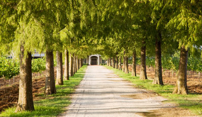 $20 - Fall Creek Vineyards: Wine Experience for 2, Reg. $43
