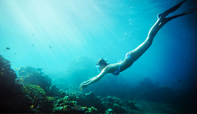 $19 -- La Jolla Cove: Guided Snorkeling Tour w/Gear, 50% Off