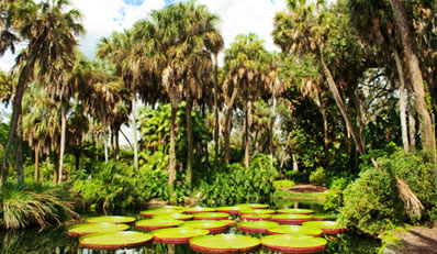 $15 -- Day at Bok Tower Gardens for 2 w/Cafe Credit