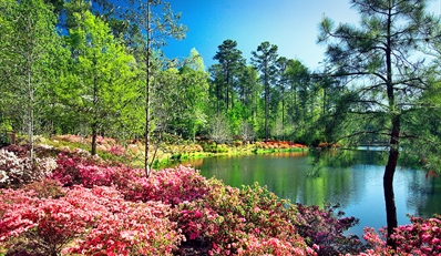 $99 -- Scenic Georgia Escape incl. $165 in Activities