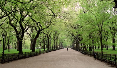 $14 -- NYC: Central Park TV & Movie Sites Tour, Reg. $25