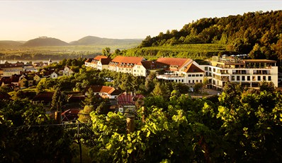 278 € -- Gourmet-Auszeit für 2 im Steigenberger &amp; Menü, -42%
