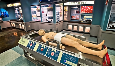 $17 -- Real-Life 'CSI' Experience at Crime Museum, Half Off
