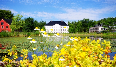 278€ -- Ostsee-Schlosstage für 2 im 45m²-Zimmer &amp; Menü, -43%