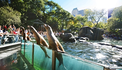 $19 -- Day at Central Park w/Zoo Visit, Biking &amp; Ice Cream