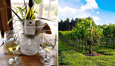 $18 -- Morgan Ridge Vineyards: Wine Tour for 2 w/13 Tastings