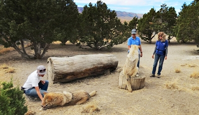 $9 -- Animal Ark: All-Day Admission for 2, Reg. $19