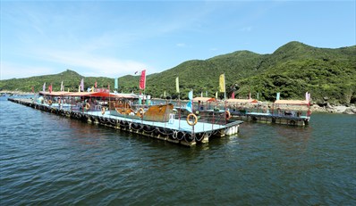 海花岛骗局.htm新消息评论