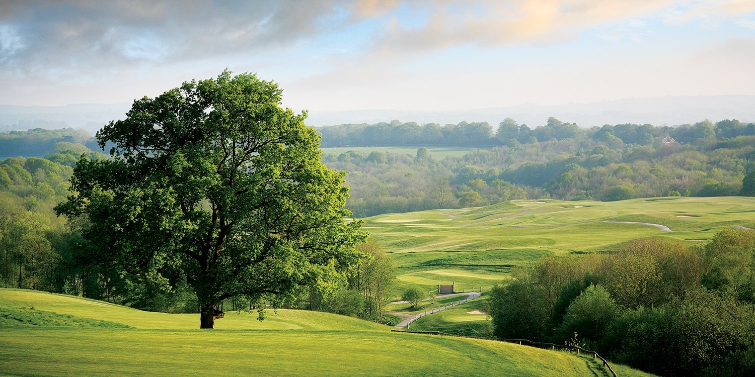 East Sussex escape with dinner, was £155 East Sussex escape with dinner, was £155