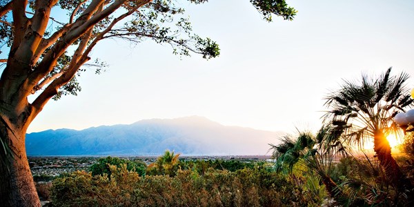 palm springs