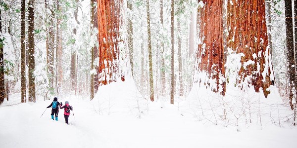 kings canyon